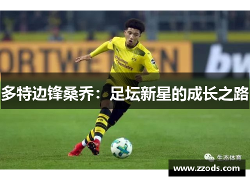 多特边锋桑乔：足坛新星的成长之路
