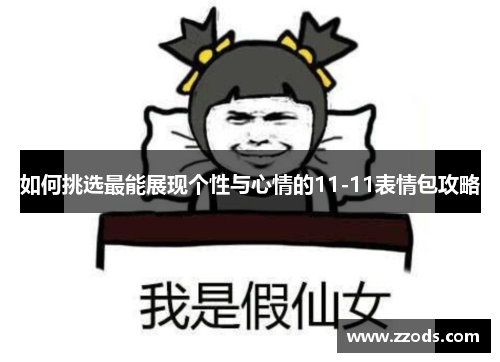 如何挑选最能展现个性与心情的11-11表情包攻略